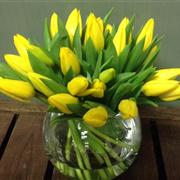 Yelloow Tulip Vase