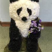 Panda tribute