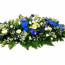 Blue and White Spray  